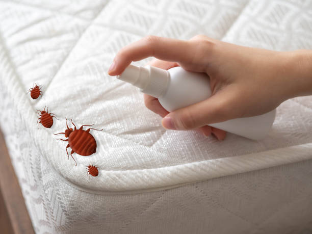 Best Residential Pest Control  in Hasson Heights, PA